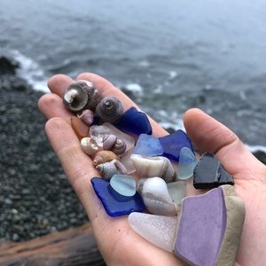 Meet your Posher, Daisy